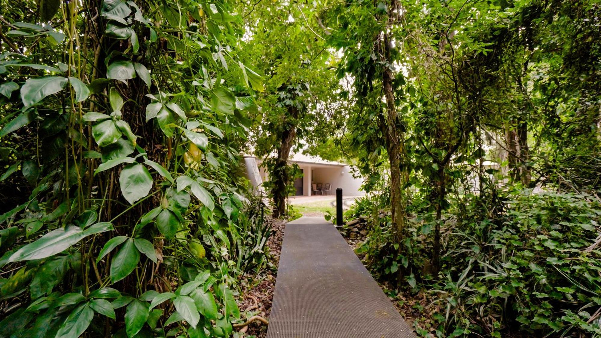 Invercauld House Goonellabah 외부 사진